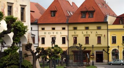 Hotel U Leva ***